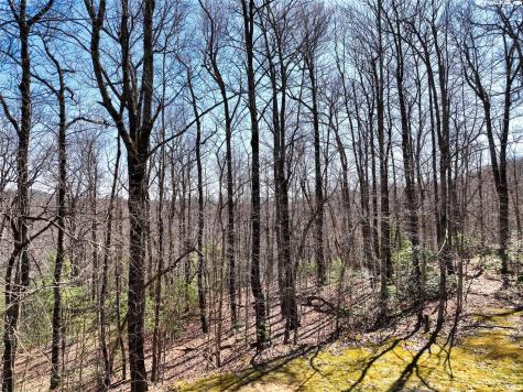 4.17 Acres Spruce Lane Zirconia NC 28790