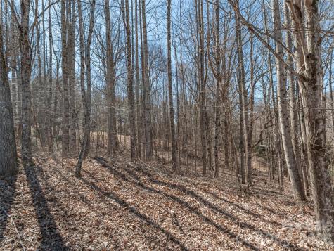 00 Sams Trail Waynesville NC 28786