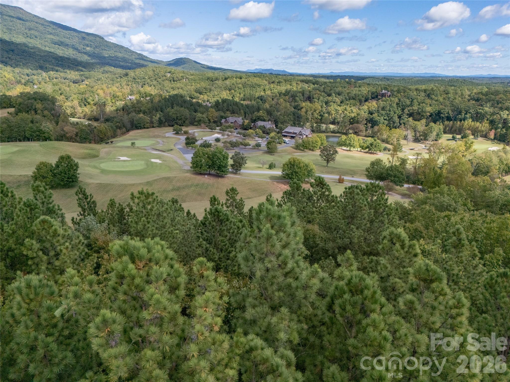 000 Nottingham Drive Mill Spring NC 28756