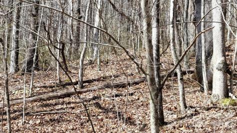 112 Rainbow Trout Road Burnsville NC 28714