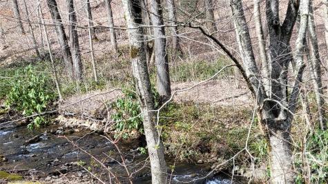 112 Rainbow Trout Road Burnsville NC 28714