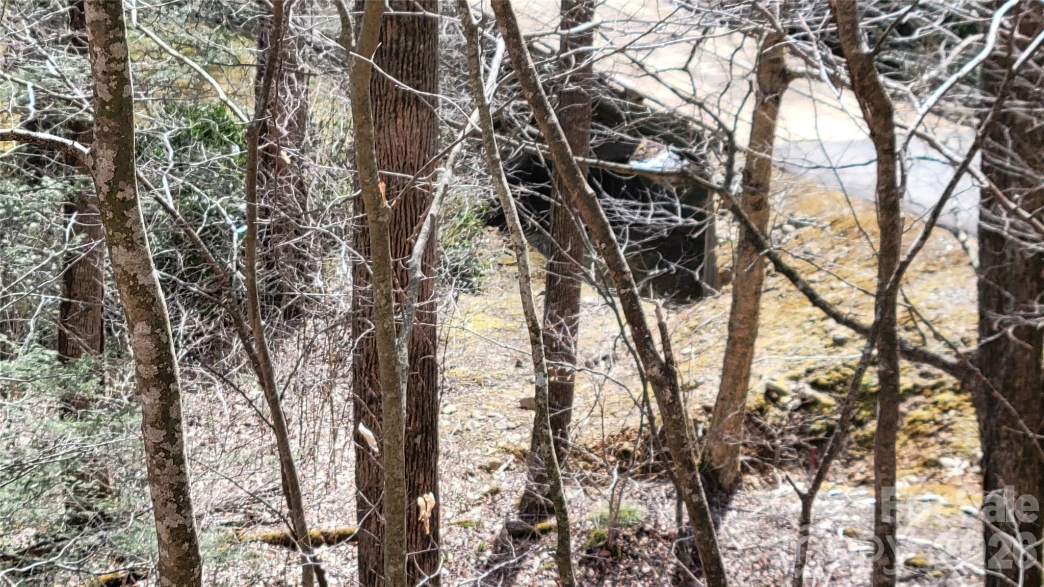 112 Rainbow Trout Road Burnsville NC 28714
