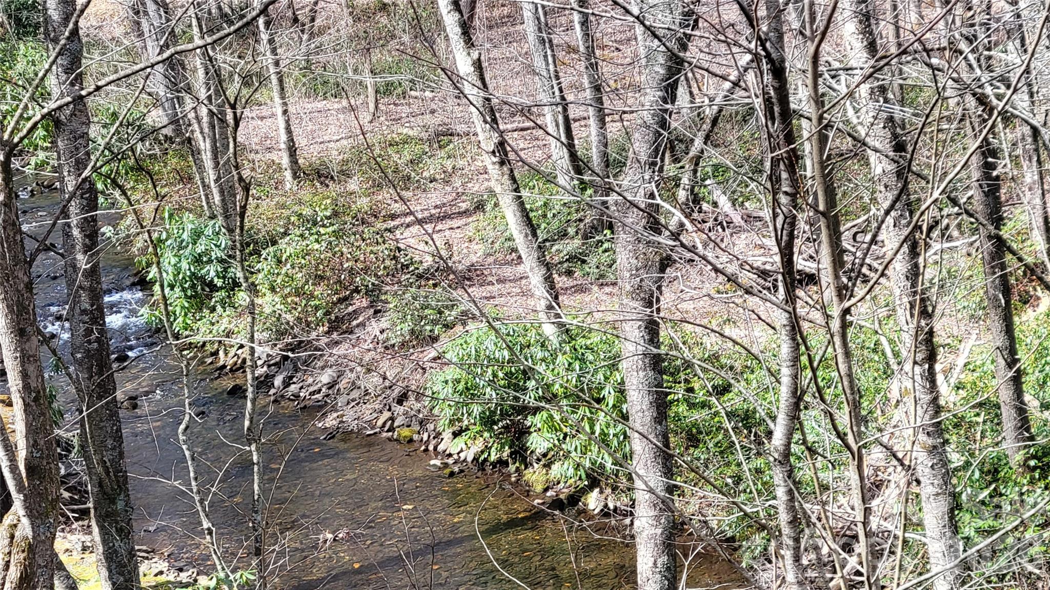 112 Rainbow Trout Road Burnsville NC 28714