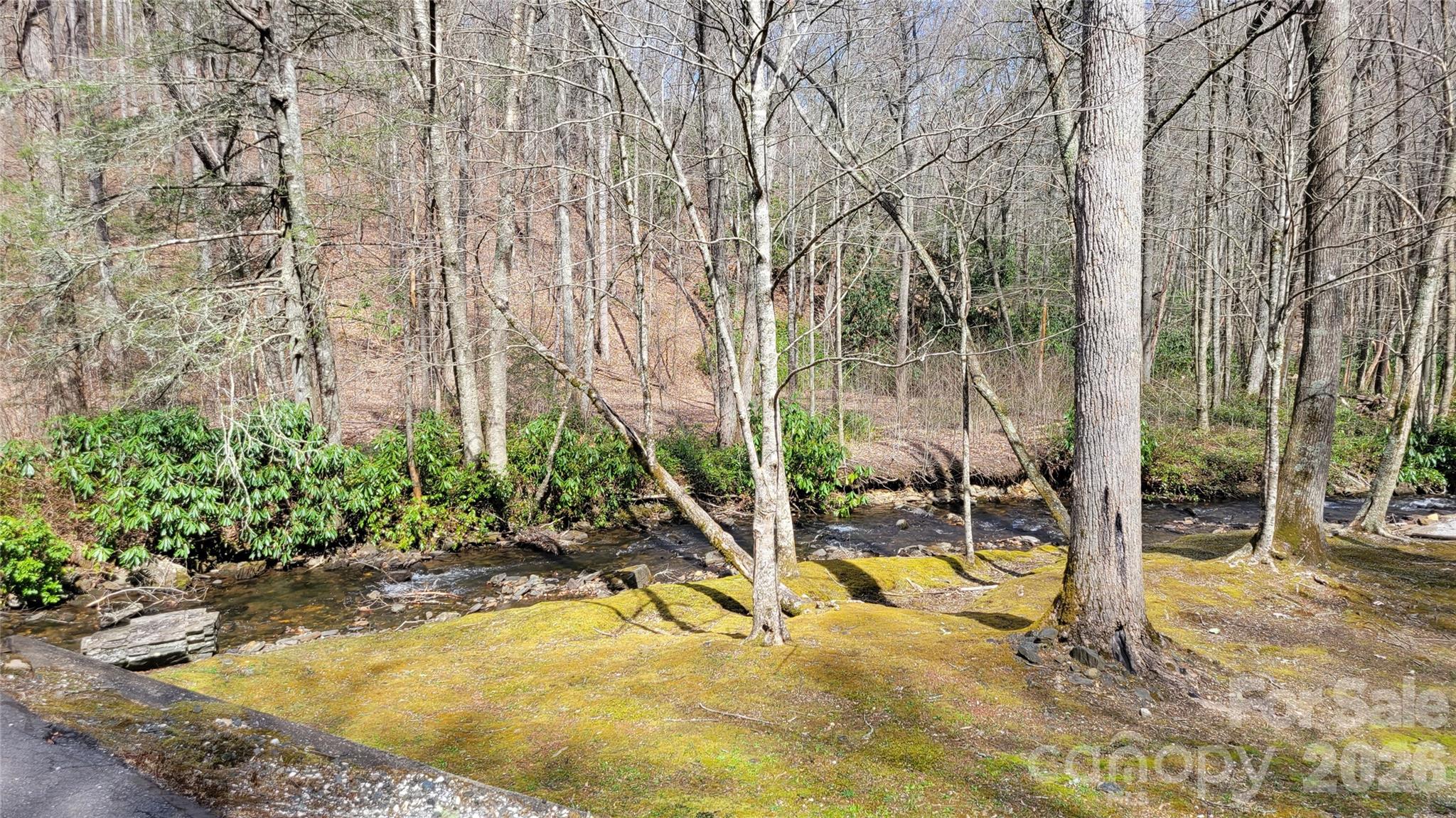 112 Rainbow Trout Road Burnsville NC 28714