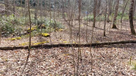 112 Rainbow Trout Road Burnsville NC 28714