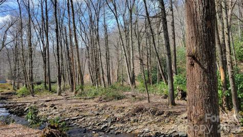 112 Rainbow Trout Road Burnsville NC 28714