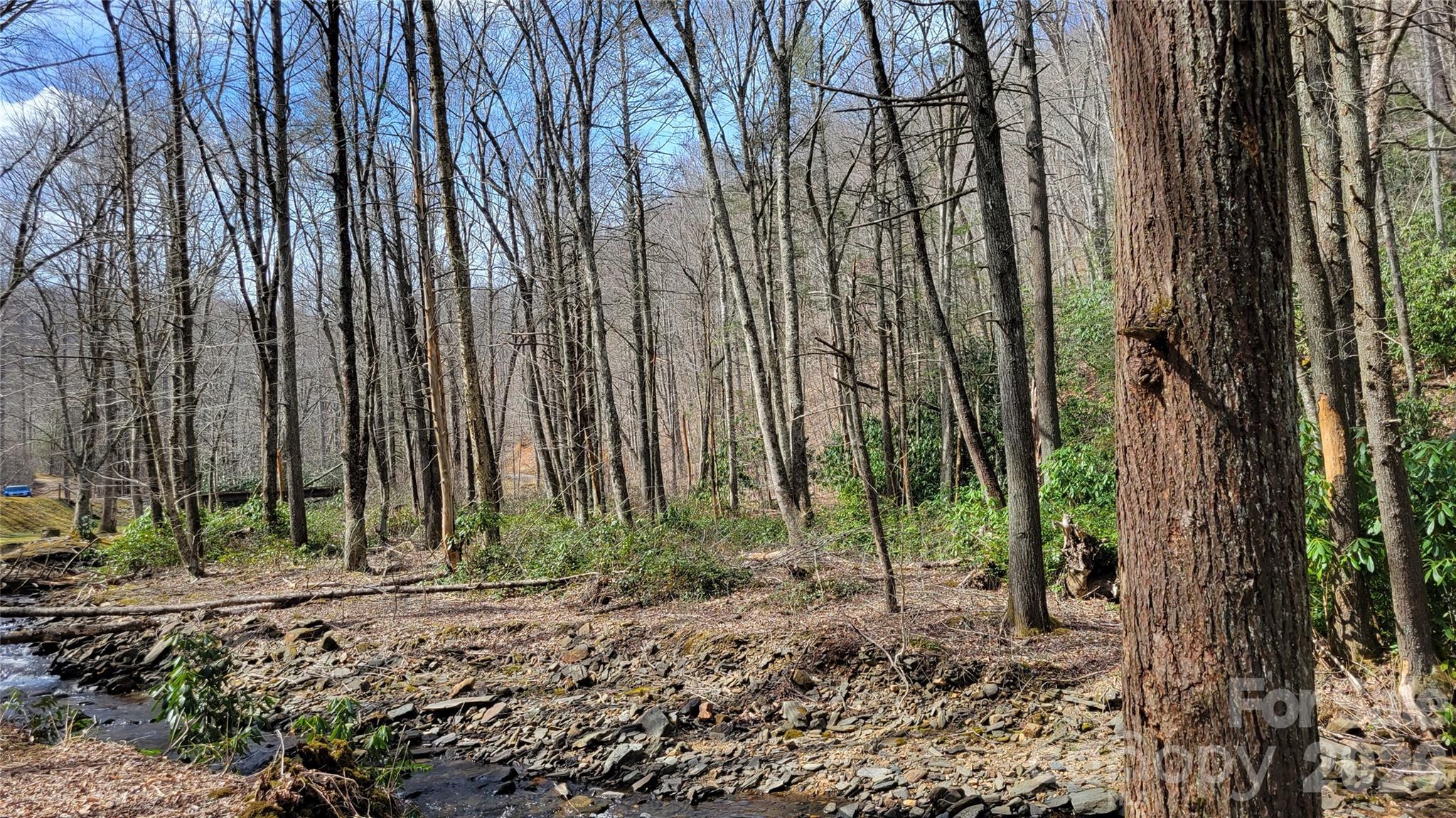 112 Rainbow Trout Road Burnsville NC 28714