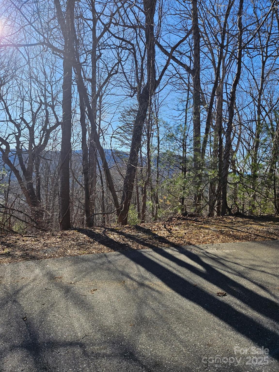 99999 Churchill Downs Drive Fairview NC 28730