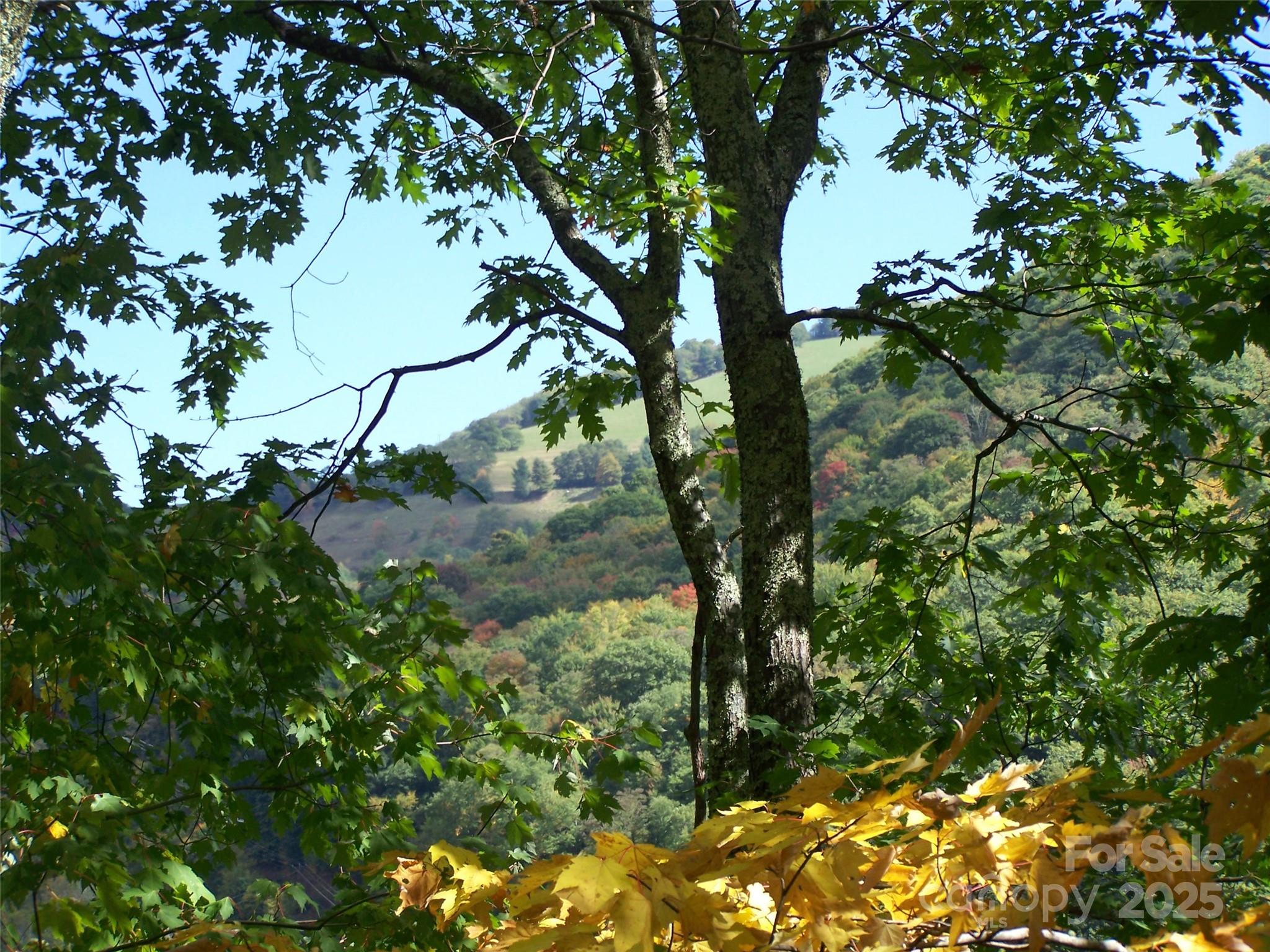 000 Fie Top Road Maggie Valley NC 28751