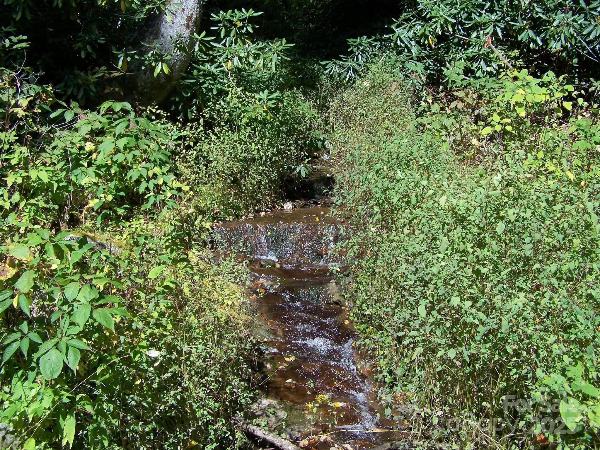 000 Fie Top Road Maggie Valley NC 28751