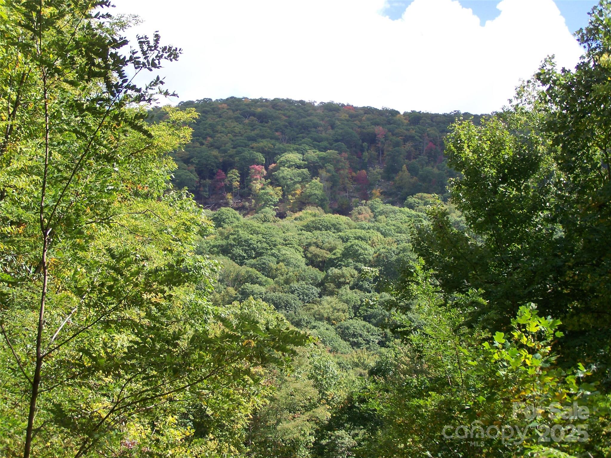 000 Fie Top Road Maggie Valley NC 28751