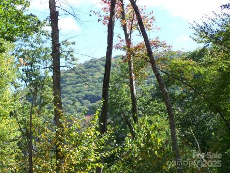 000 Fie Top Road Maggie Valley NC 28751