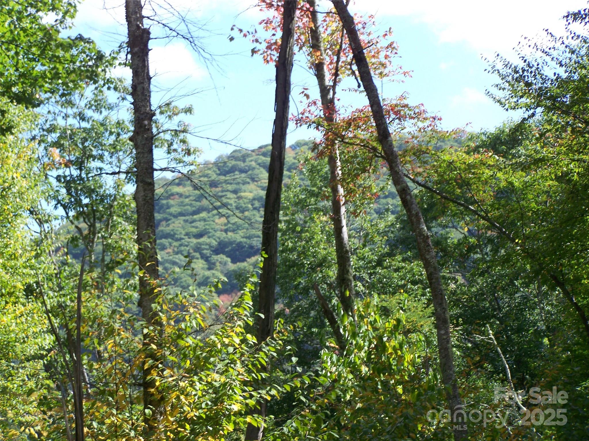 000 Fie Top Road Maggie Valley NC 28751