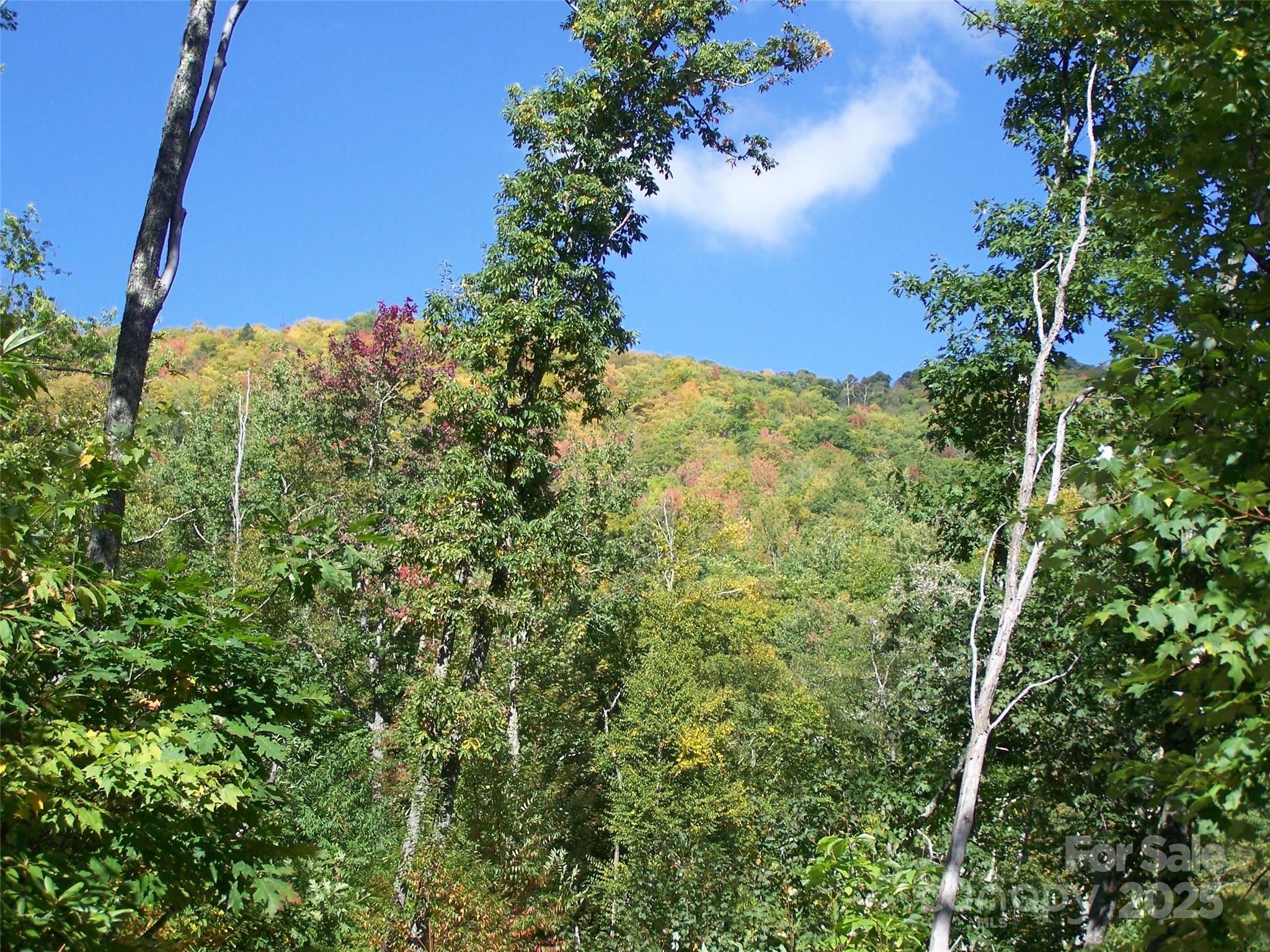 000 Fie Top Road Maggie Valley NC 28751