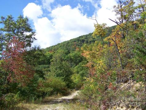 000 Fie Top Road Maggie Valley NC 28751