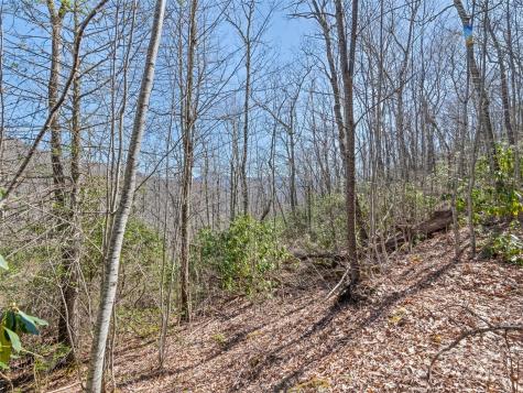 000 Fie Top Road Maggie Valley NC 28751