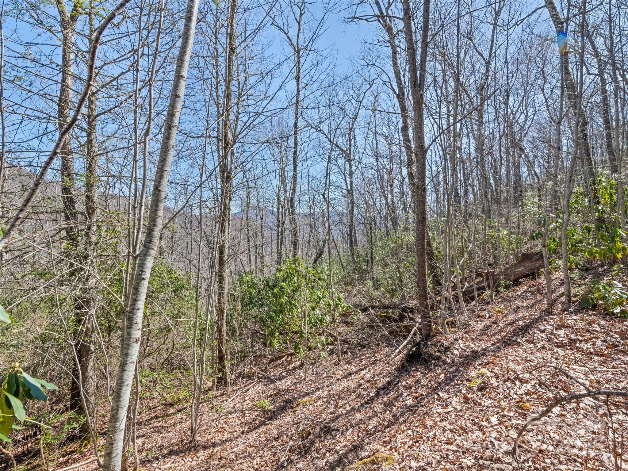 000 Fie Top Road Maggie Valley NC 28751