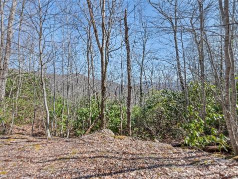 000 Fie Top Road Maggie Valley NC 28751