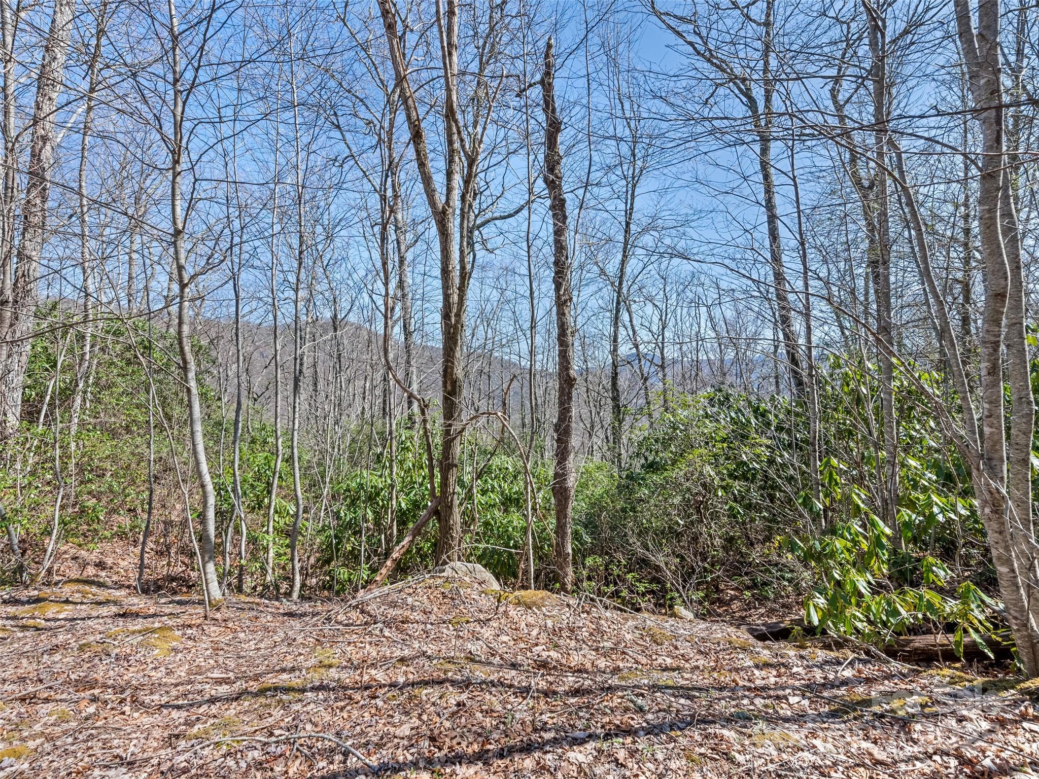 000 Fie Top Road Maggie Valley NC 28751
