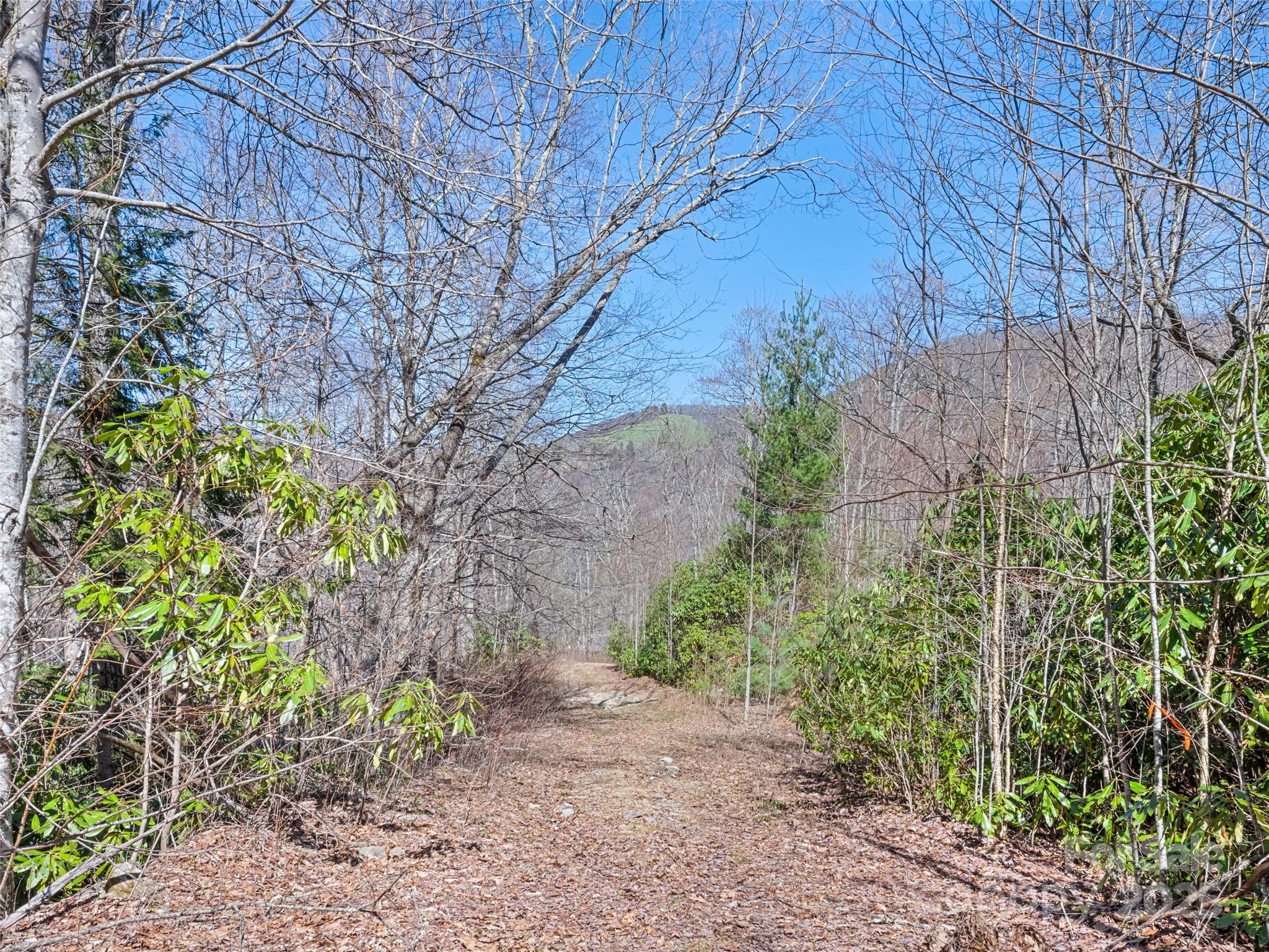 000 Fie Top Road Maggie Valley NC 28751