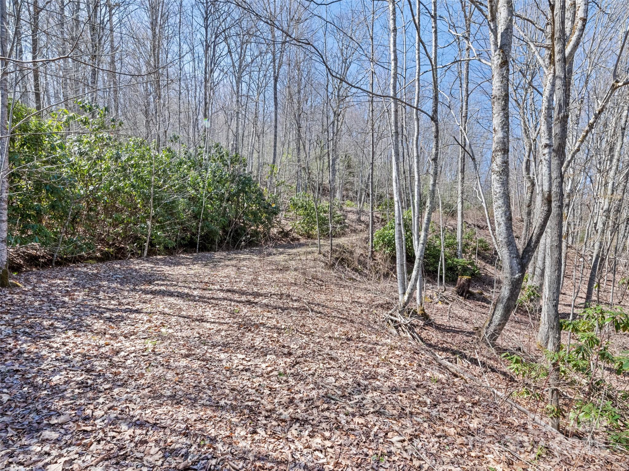000 Fie Top Road Maggie Valley NC 28751