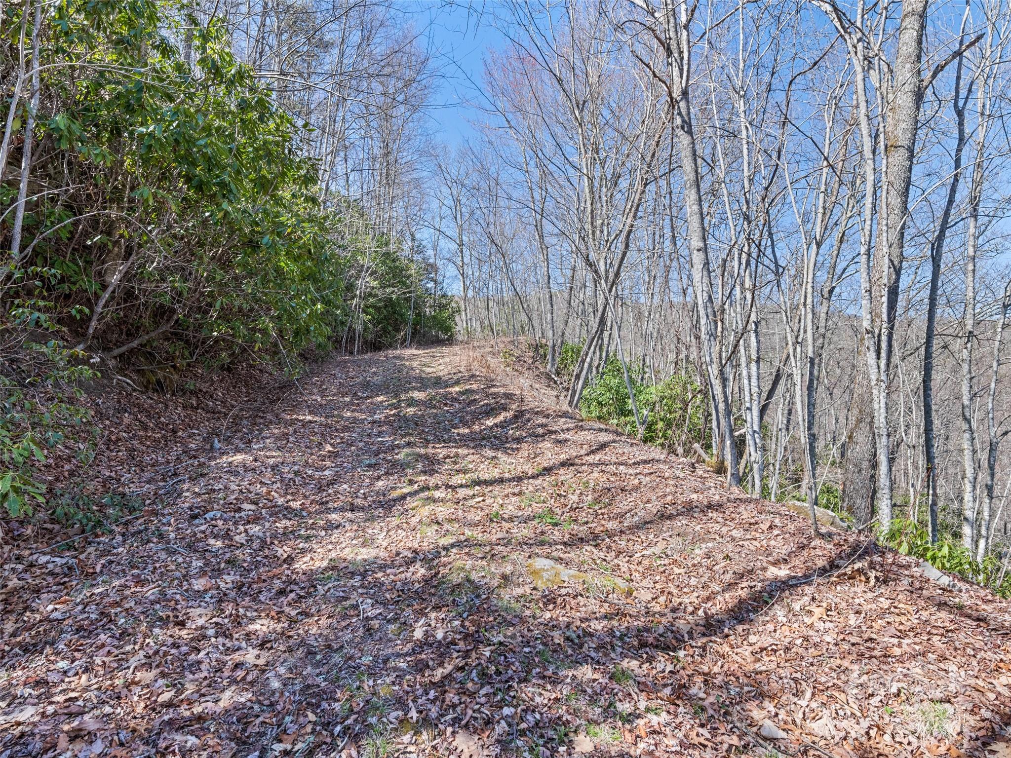 000 Fie Top Road Maggie Valley NC 28751