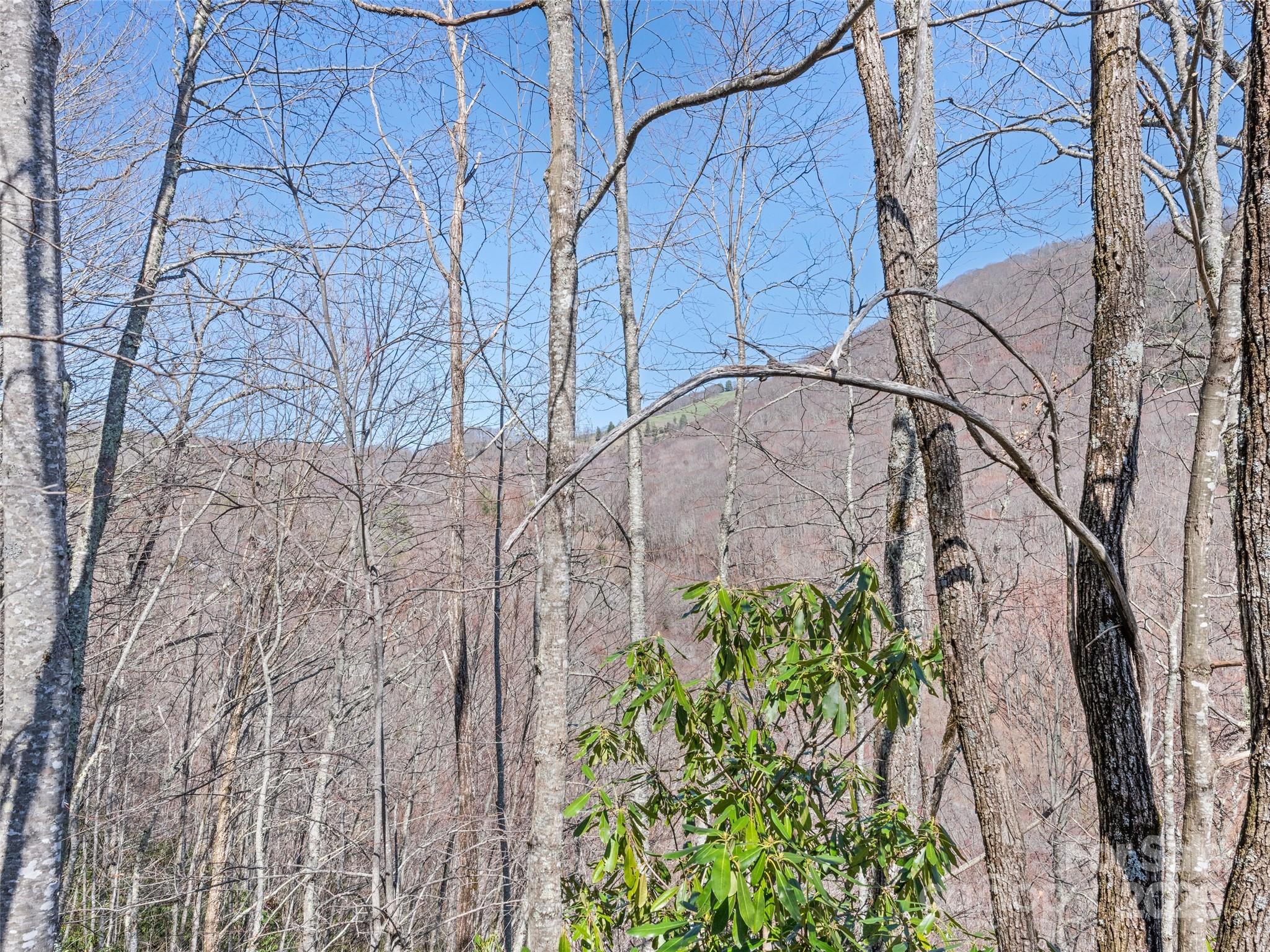 000 Fie Top Road Maggie Valley NC 28751
