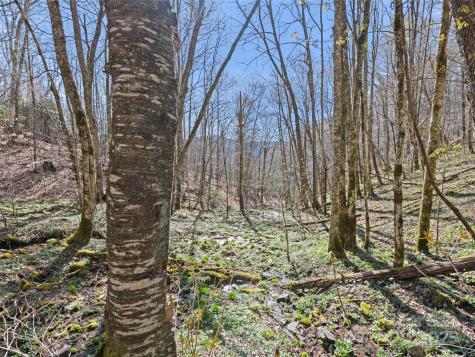 000 Fie Top Road Maggie Valley NC 28751