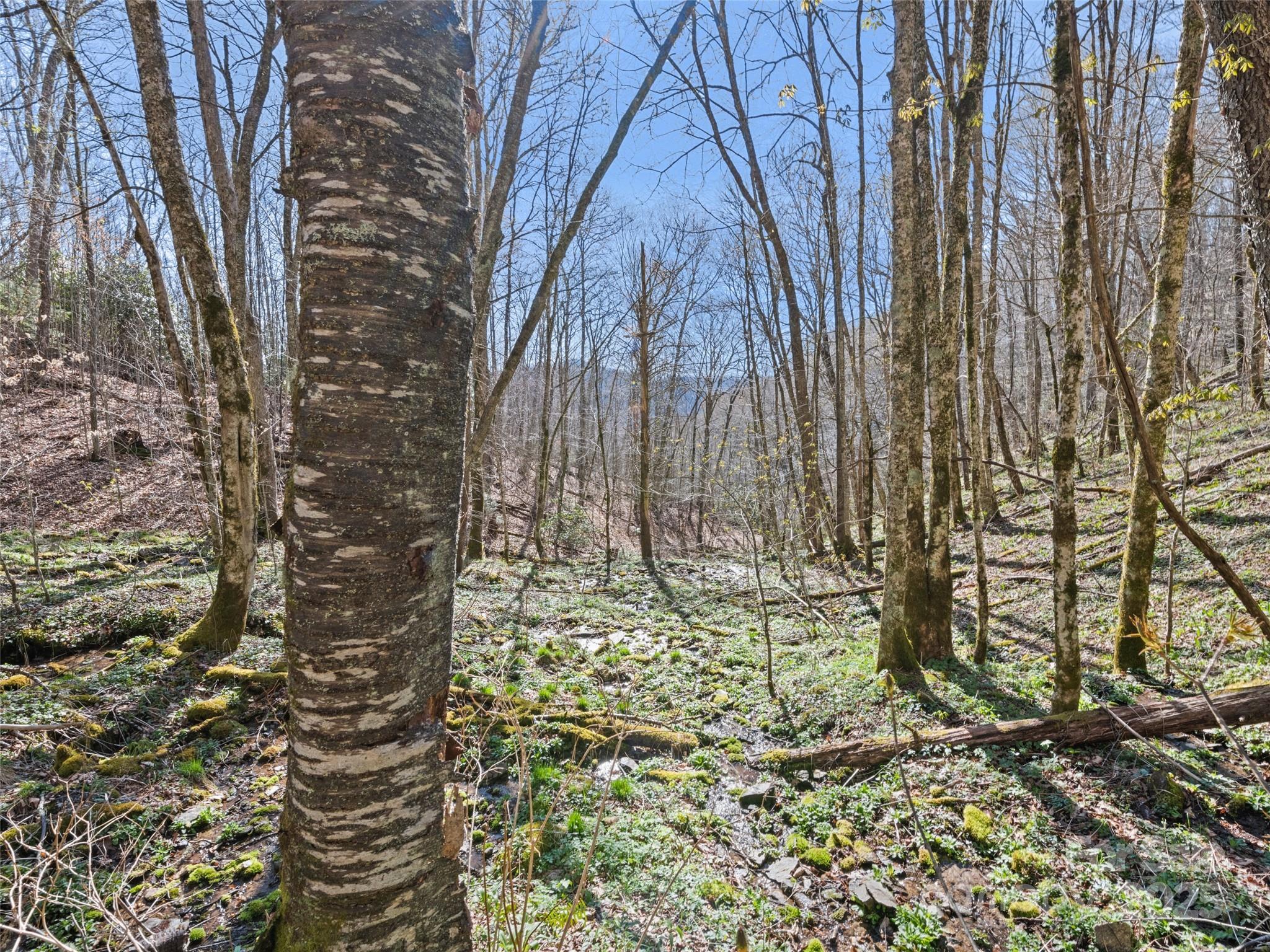000 Fie Top Road Maggie Valley NC 28751