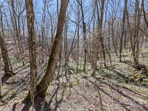 000 Fie Top Road Maggie Valley NC 28751