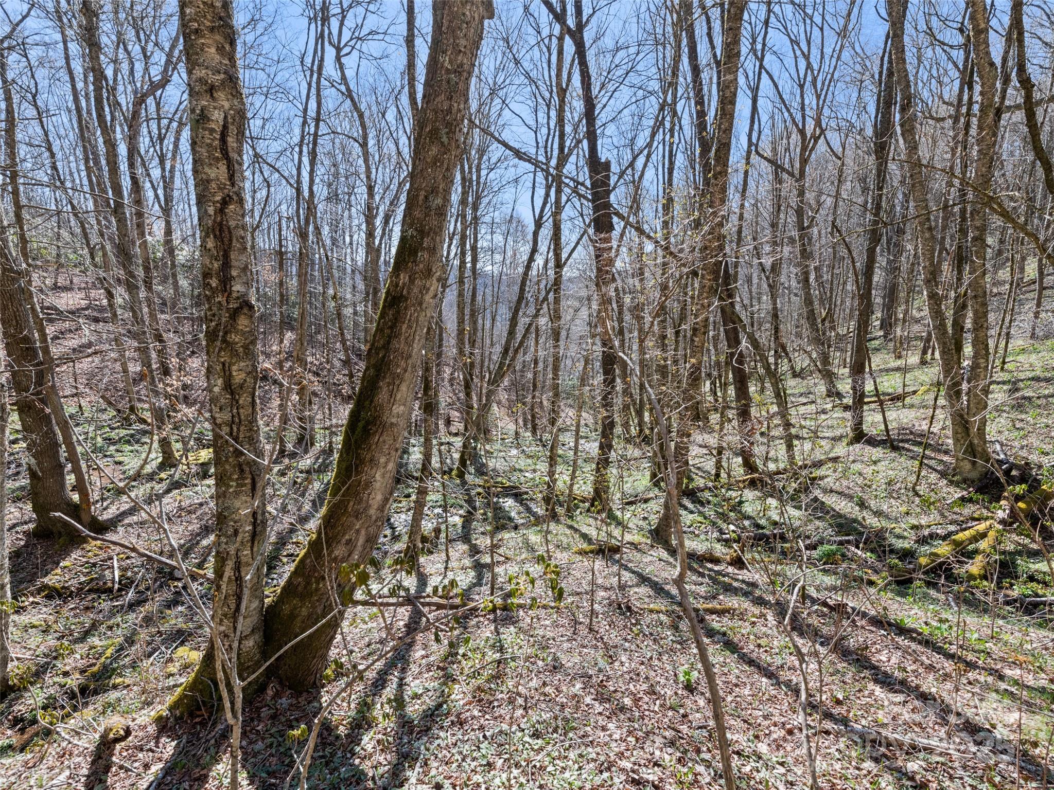 000 Fie Top Road Maggie Valley NC 28751