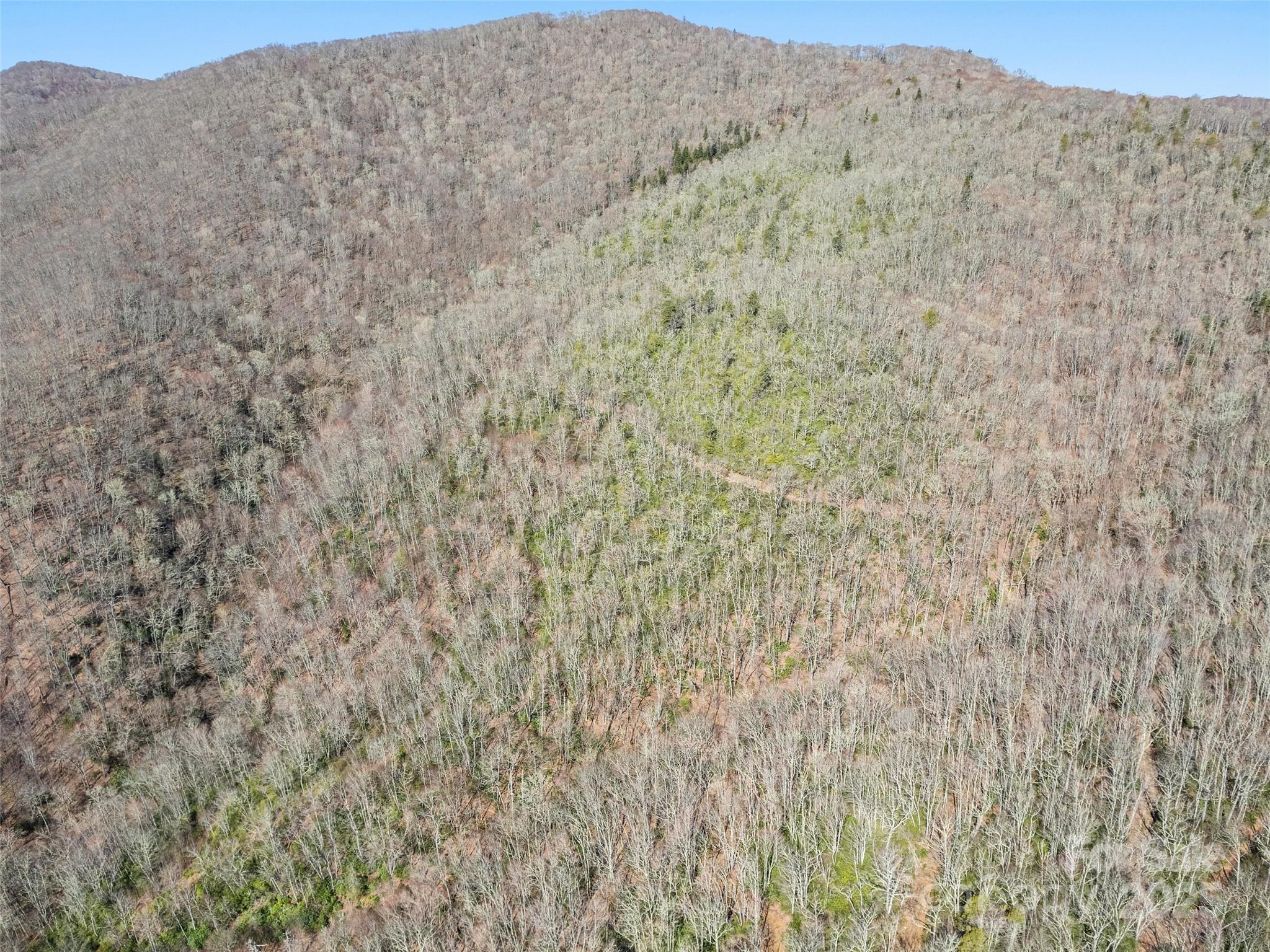 000 Fie Top Road Maggie Valley NC 28751