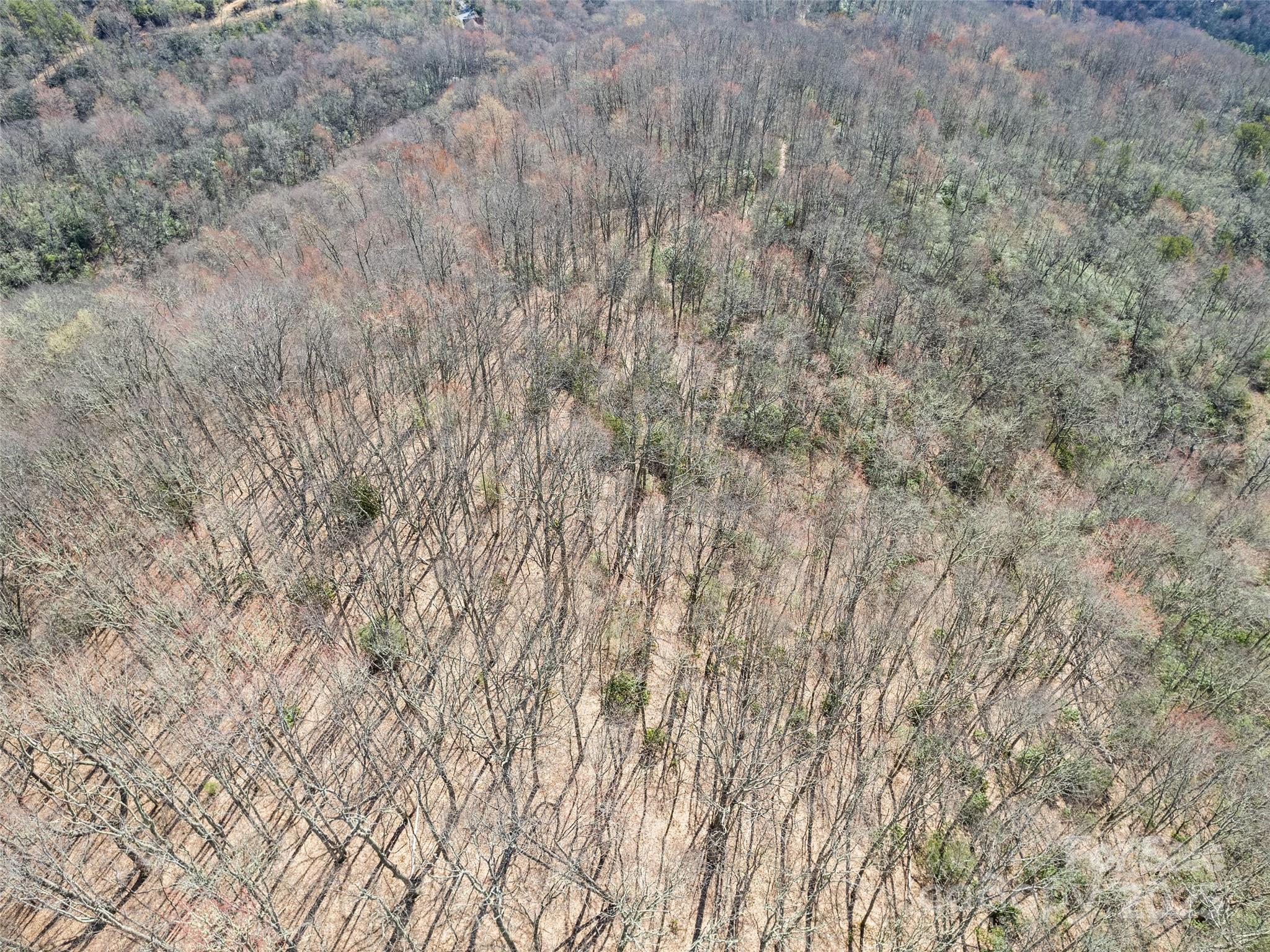 000 Fie Top Road Maggie Valley NC 28751