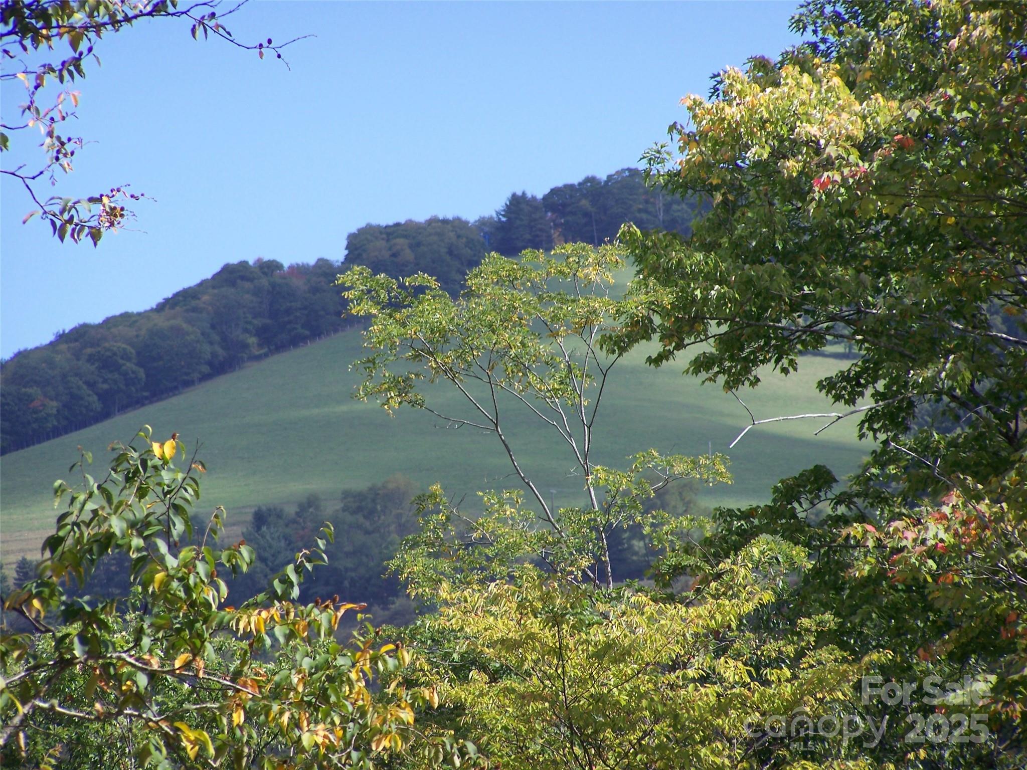 000 Fie Top Road Maggie Valley NC 28751