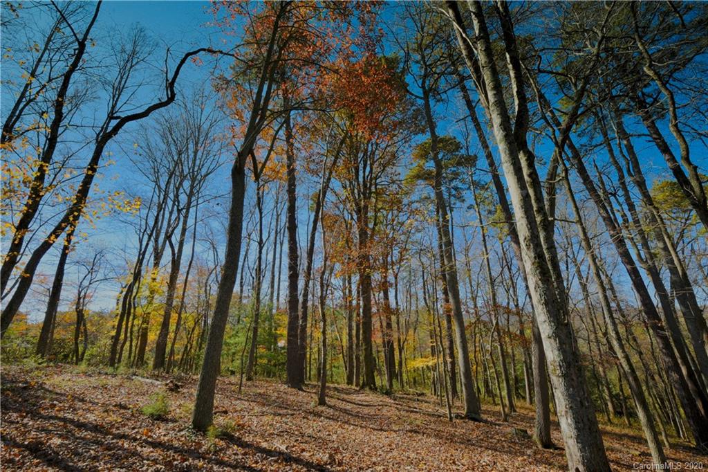 28 Woodtrail Way Arden NC 28704