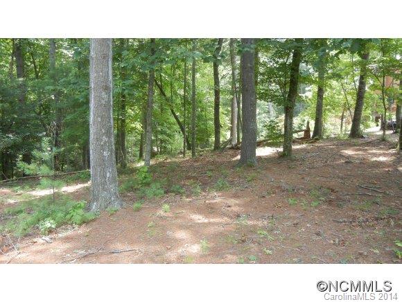 20 Deep Creek Trail Arden NC 28704