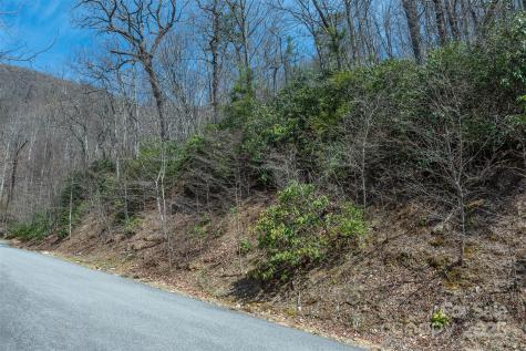 23 Winding Poplar Road Black Mountain NC 28711