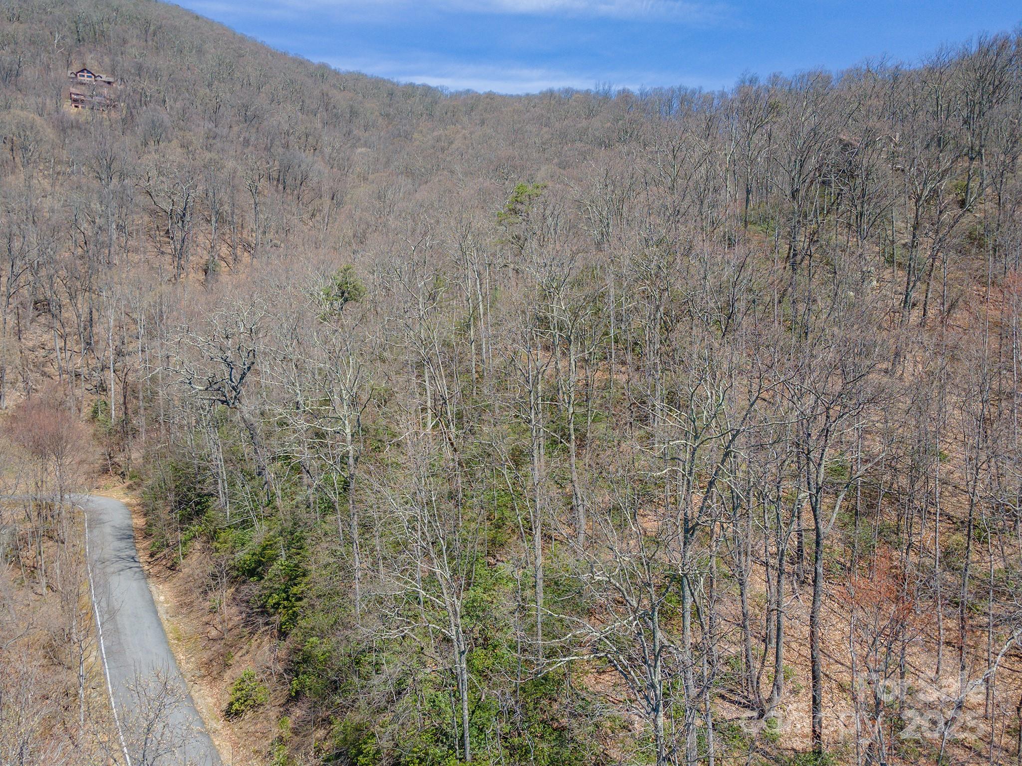 23 Winding Poplar Road Black Mountain NC 28711