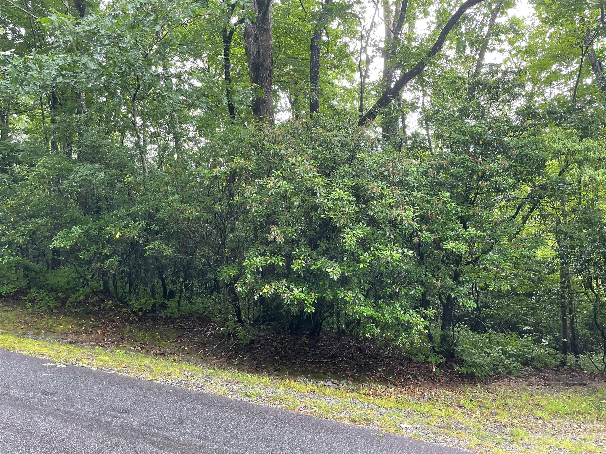 Tbd Tellico Trail Brevard NC 28712