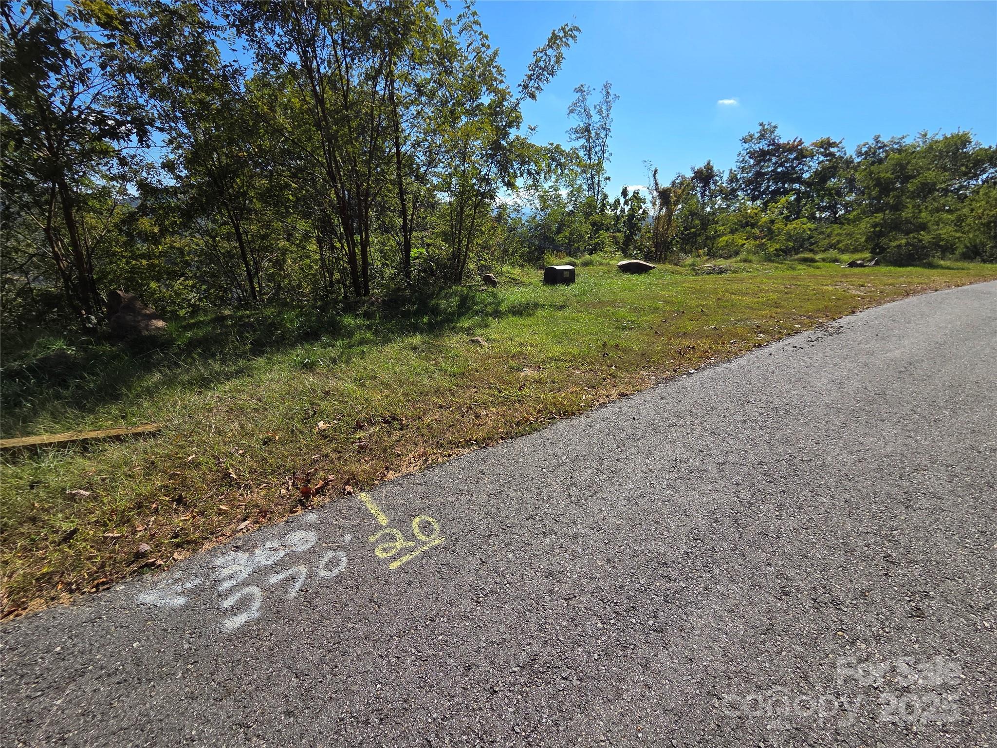 1505 Summit View Drive Canton NC 28716