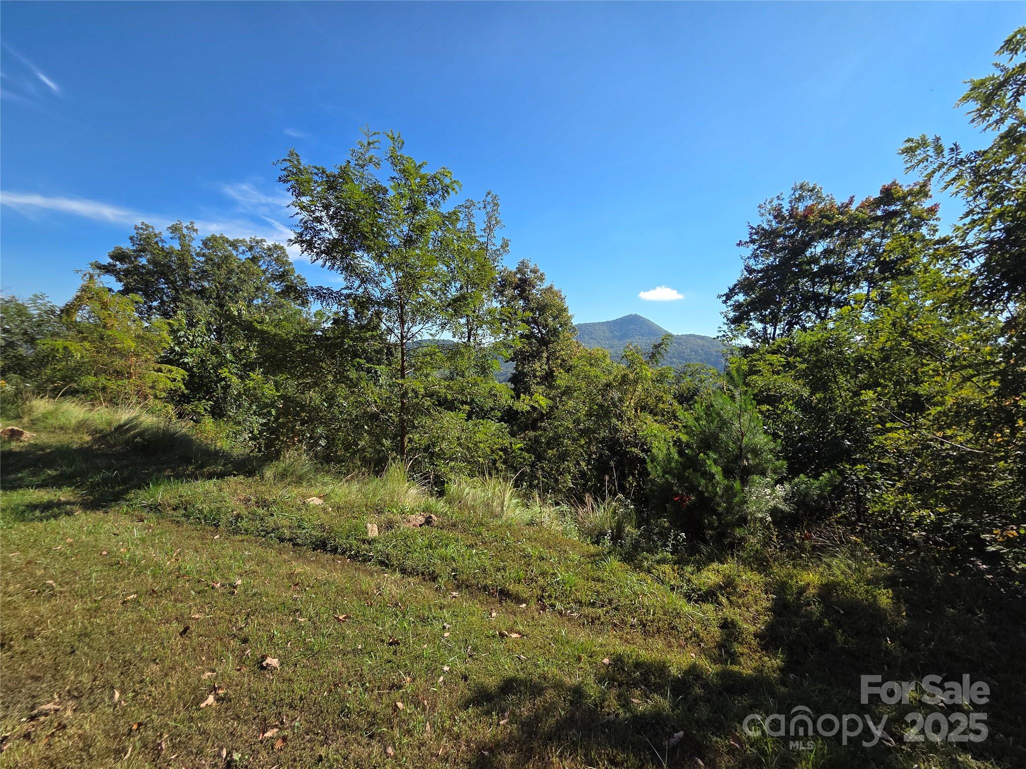 1505 Summit View Drive Canton NC 28716