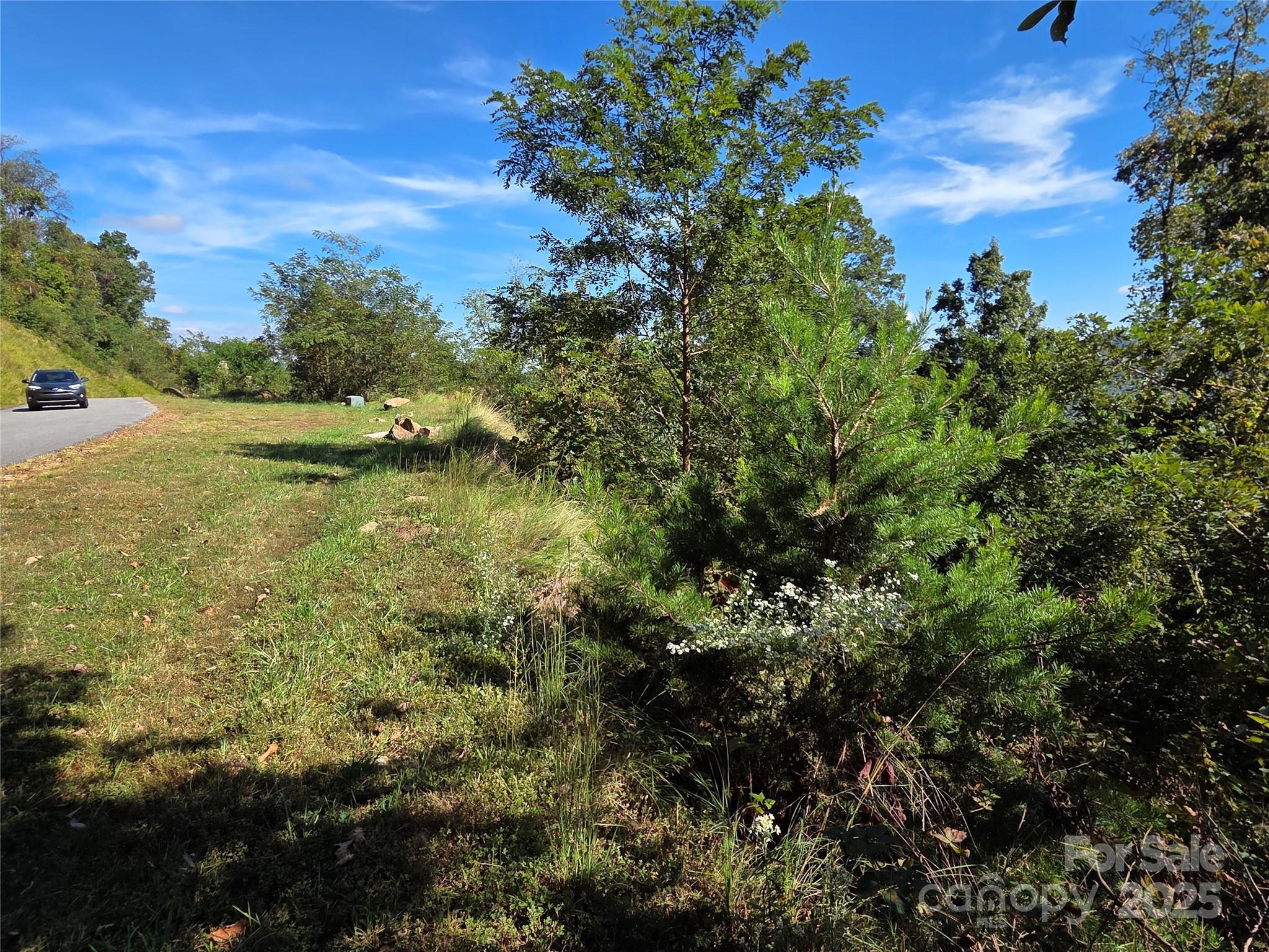 1505 Summit View Drive Canton NC 28716