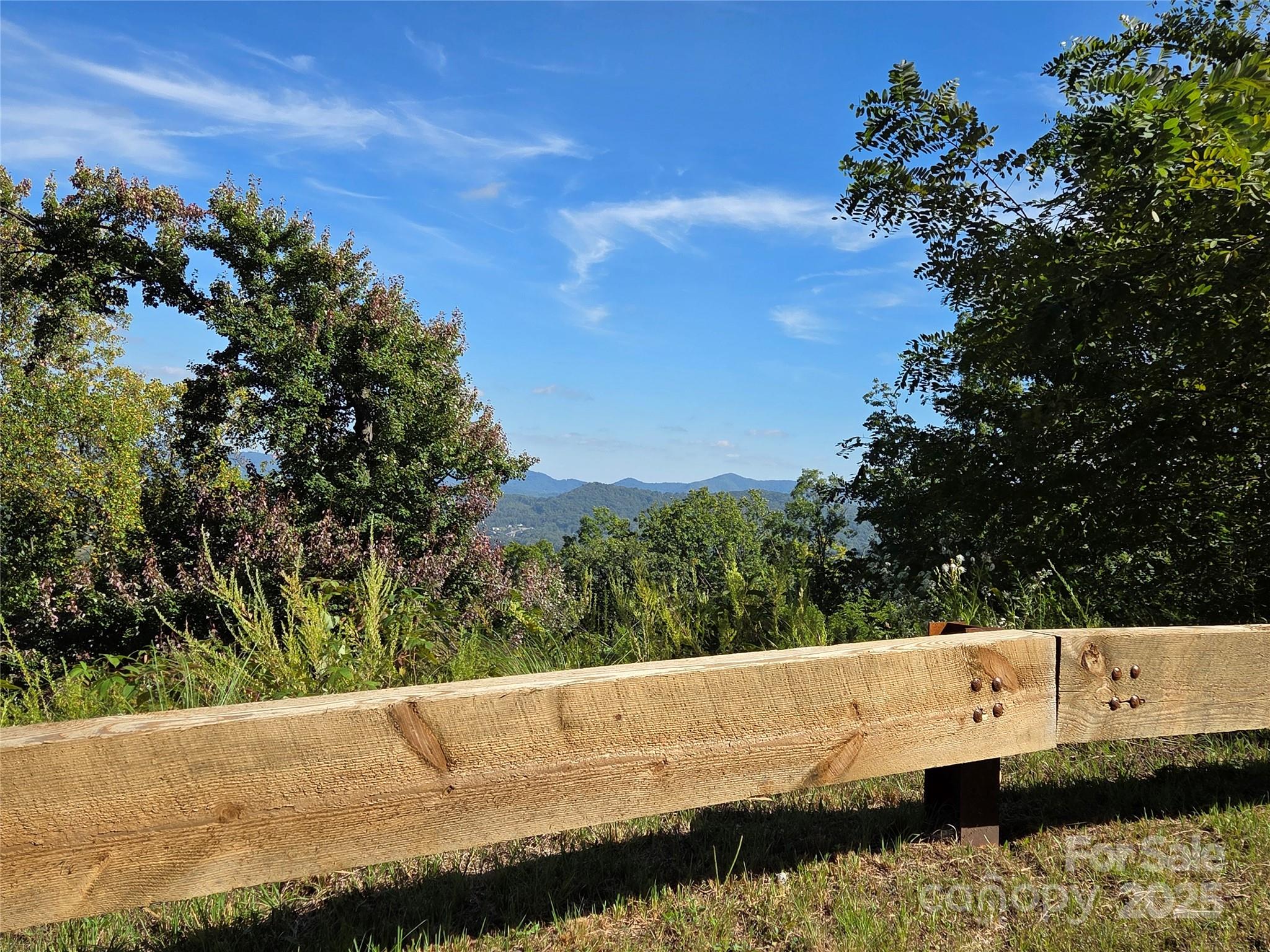 1505 Summit View Drive Canton NC 28716