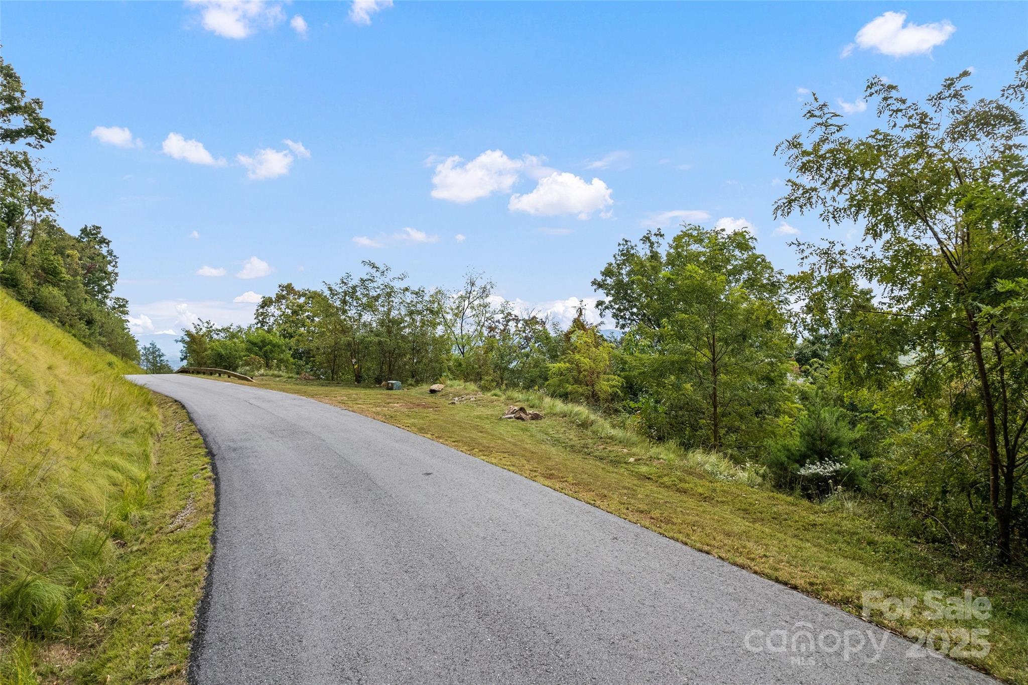 1505 Summit View Drive Canton NC 28716