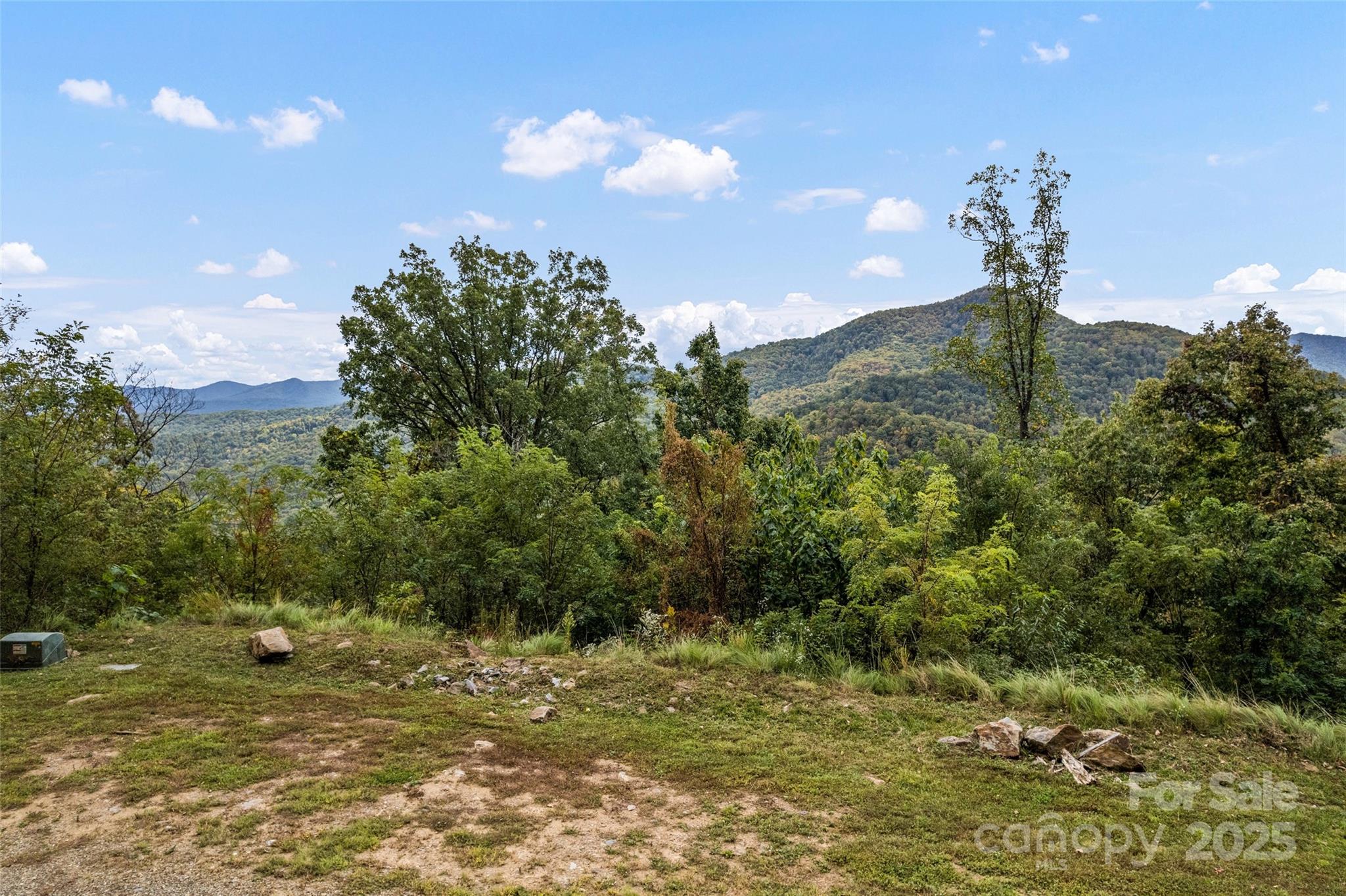 1505 Summit View Drive Canton NC 28716