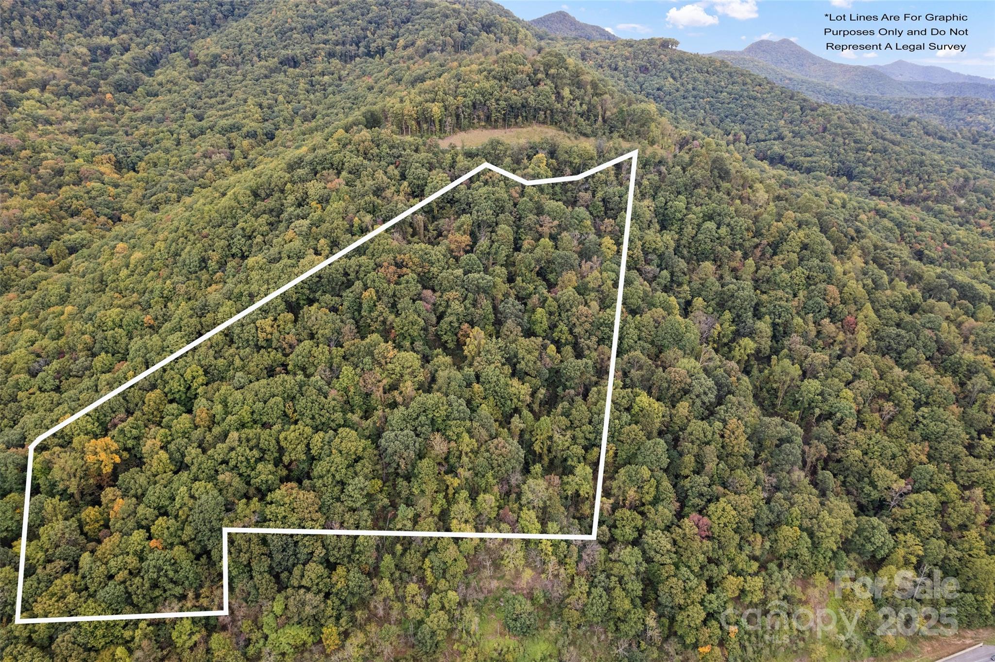 1505 Summit View Drive Canton NC 28716