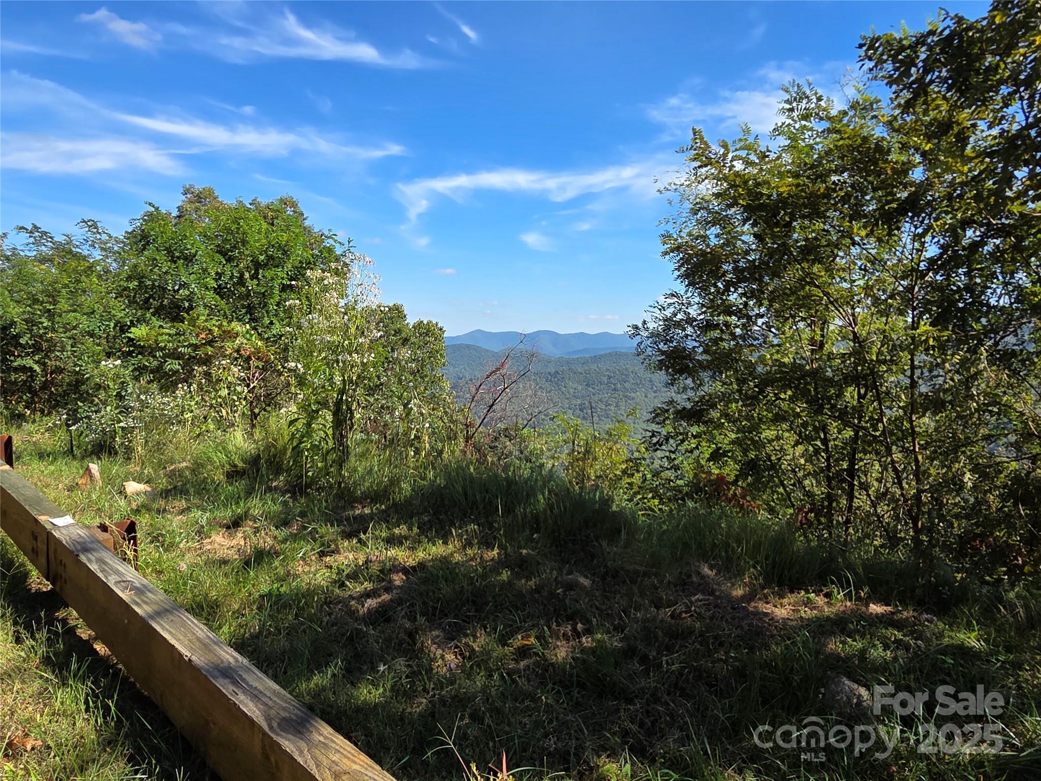 1505 Summit View Drive Canton NC 28716