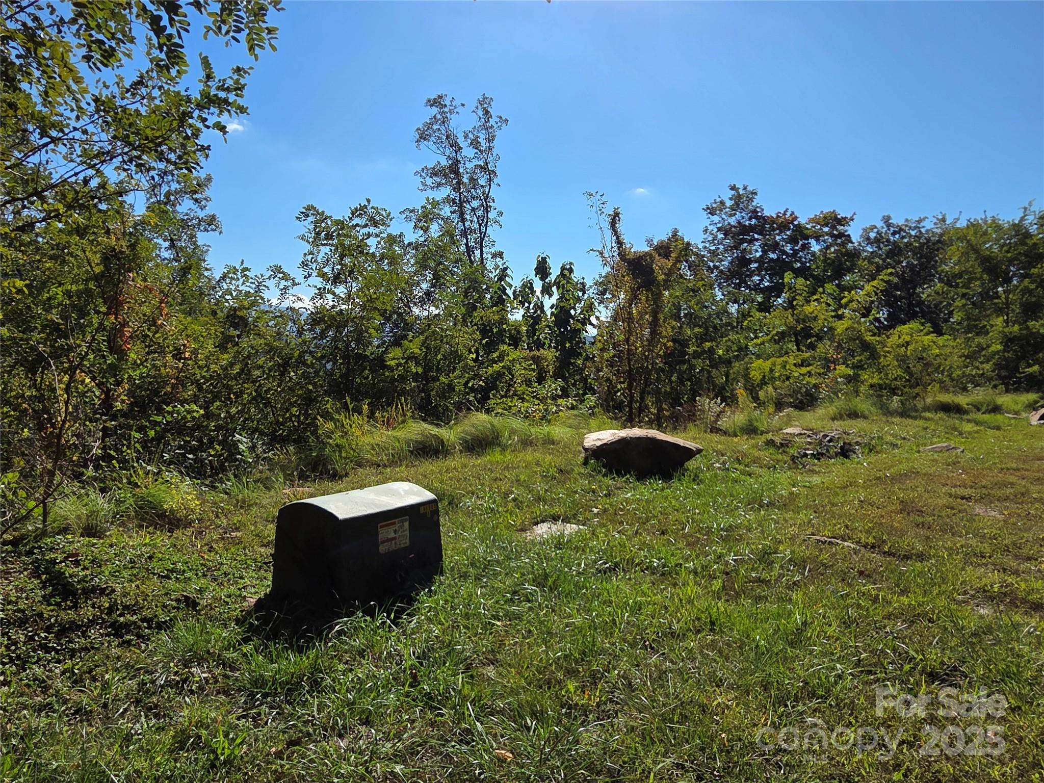 1505 Summit View Drive Canton NC 28716