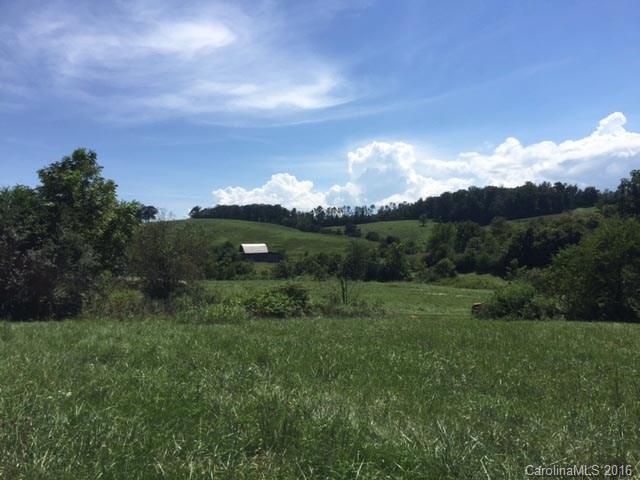 65 Jake Martin Road Leicester NC 28748