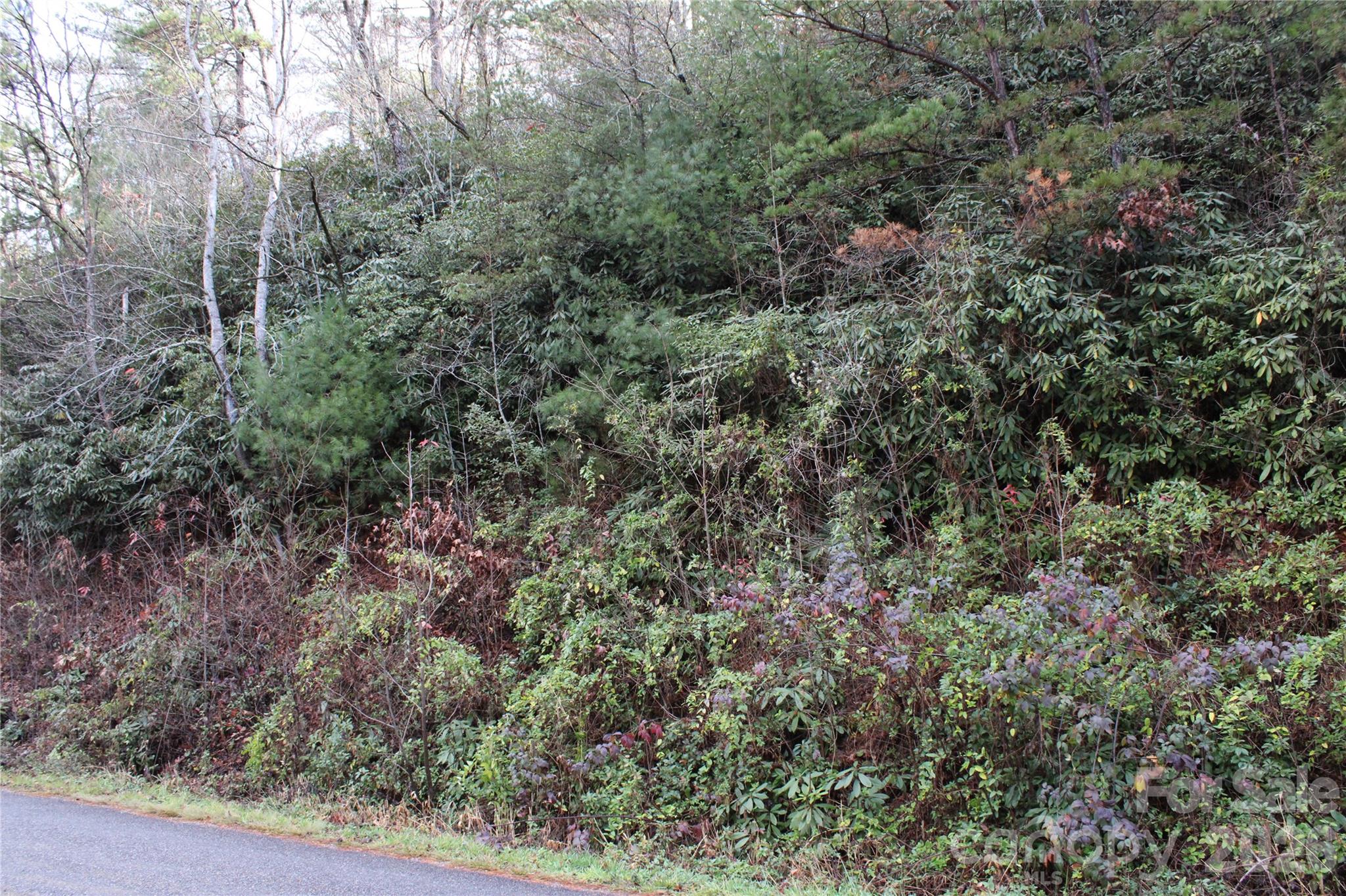 Tbd Stamey Creek Road Brevard NC 28712